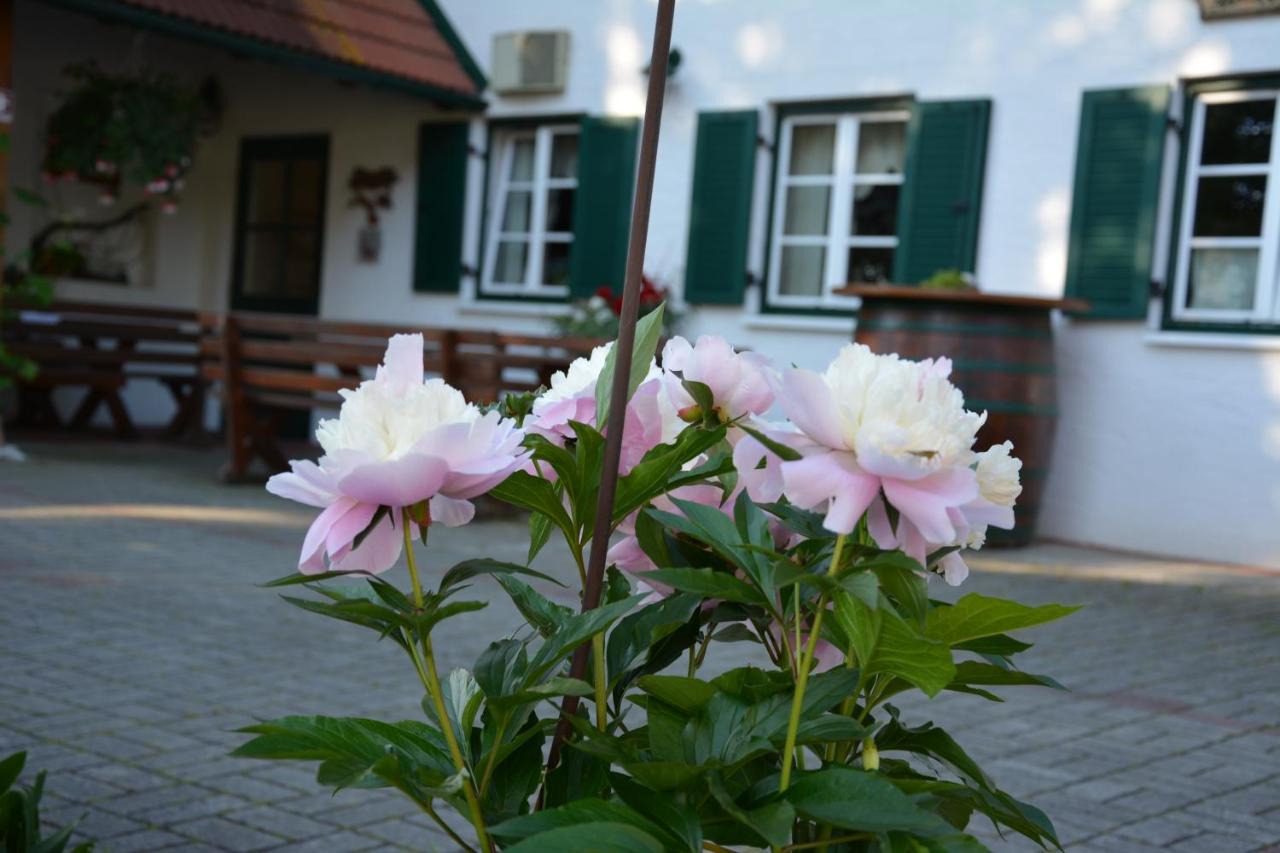 Вилла Weingut Seiner Vlg. Kraxner Greisdorf Экстерьер фото