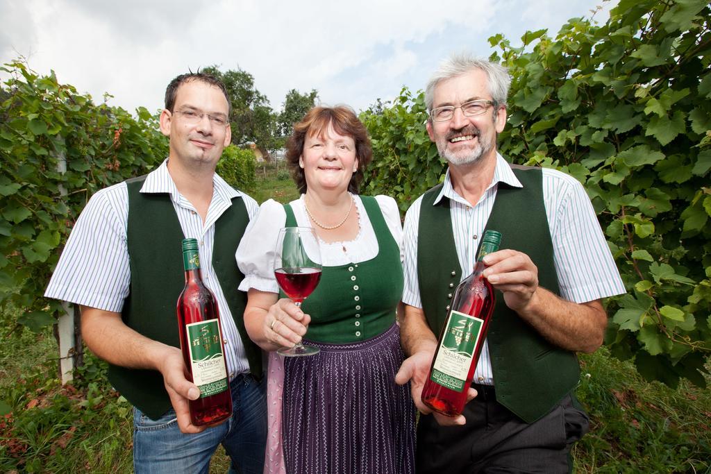 Вилла Weingut Seiner Vlg. Kraxner Greisdorf Экстерьер фото
