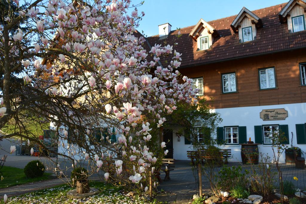 Вилла Weingut Seiner Vlg. Kraxner Greisdorf Экстерьер фото